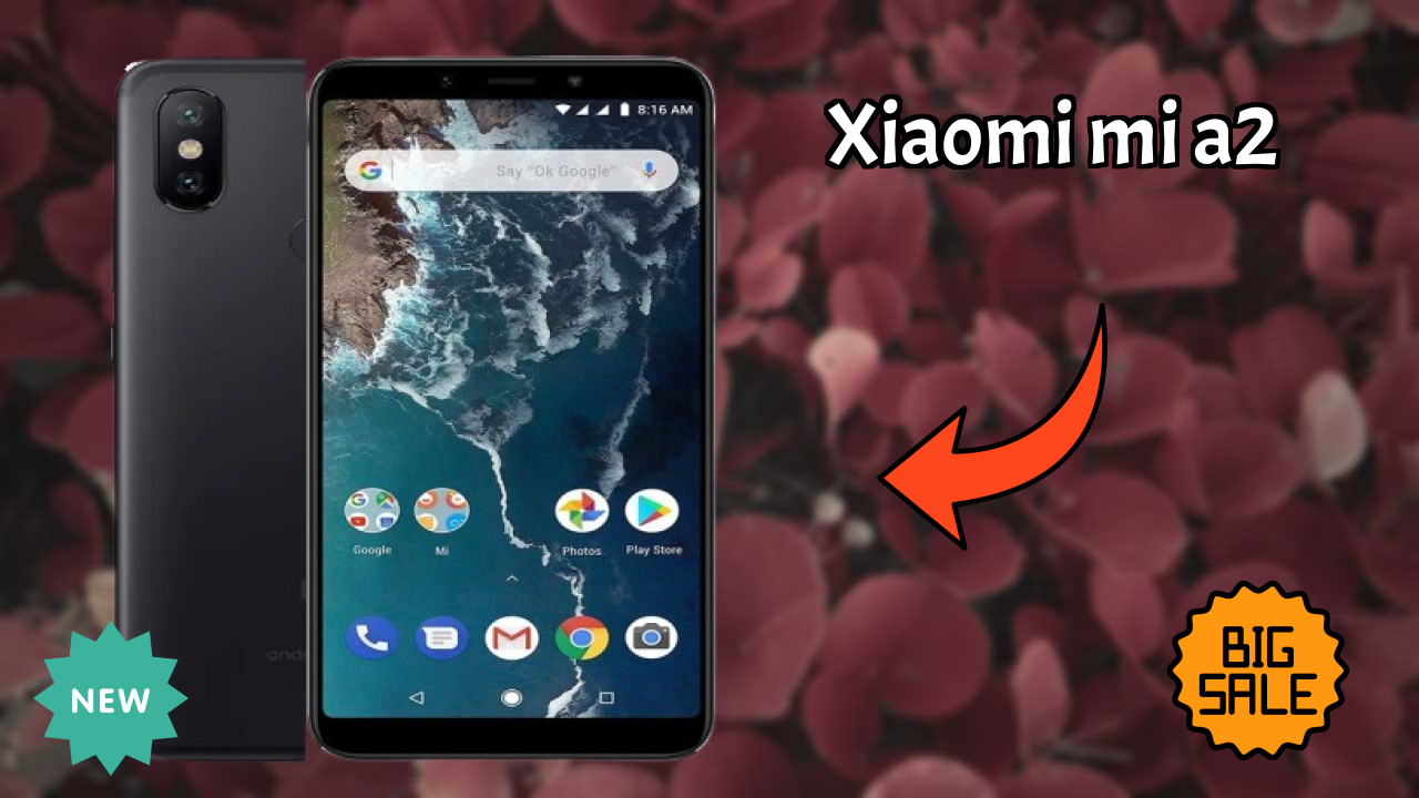 Xiaomi Mi A2 Camera Samples: 12 MP + 20 MP Rear Camera Real Photos